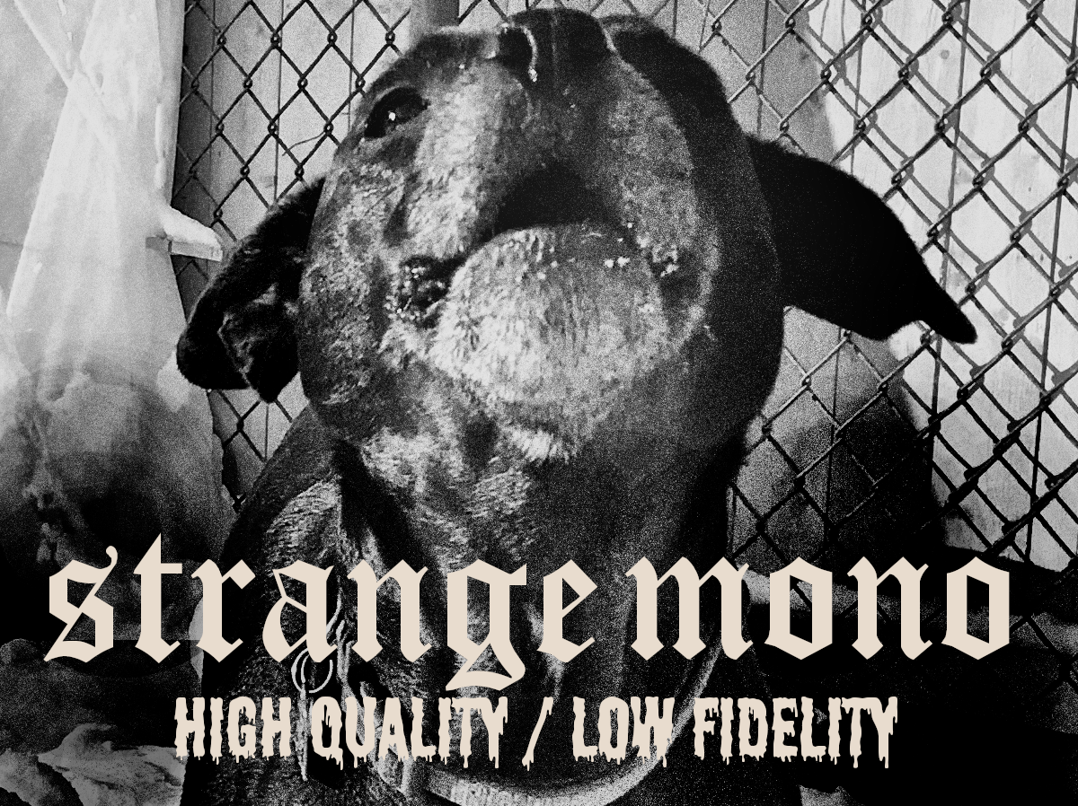 A dog howling in the snow. Text in a dripping font reads Strange mono High Quality Low Fidelity